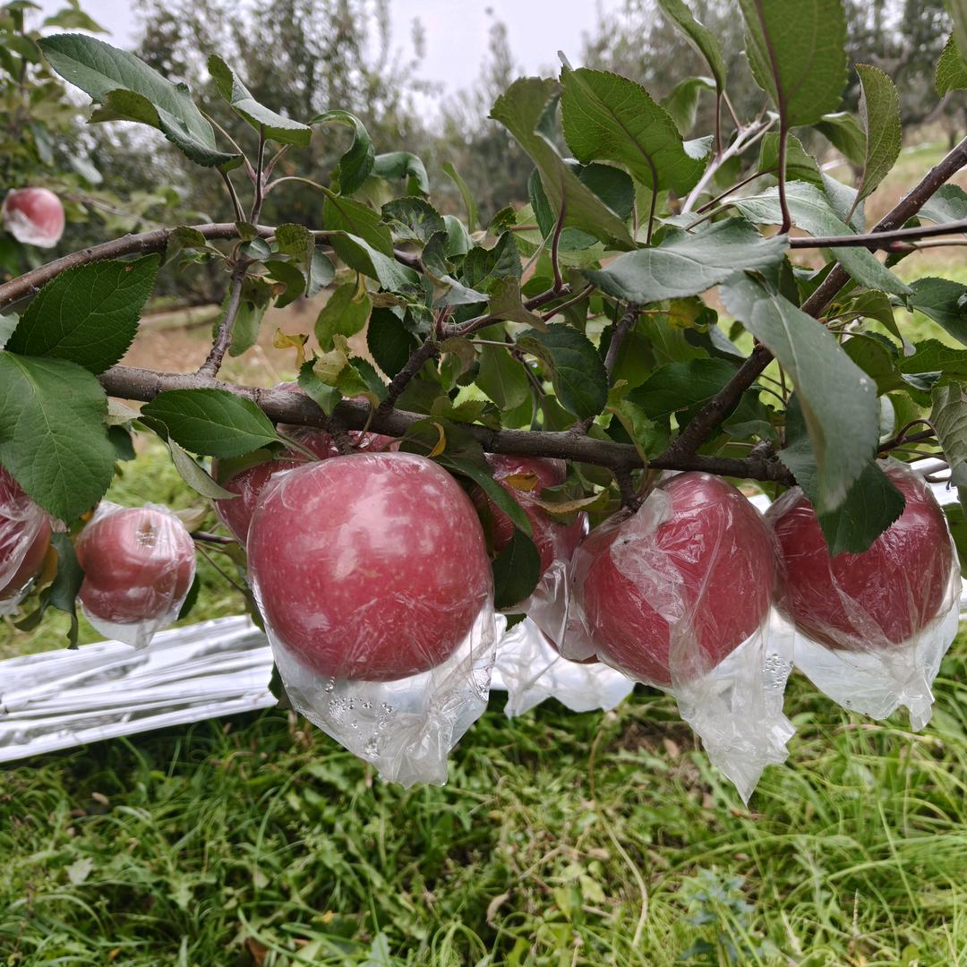 💔ꦿ໊余生᭄🕊一起走᭄ꦿᩚ٭