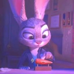 小彬彬来咯🌈DZ