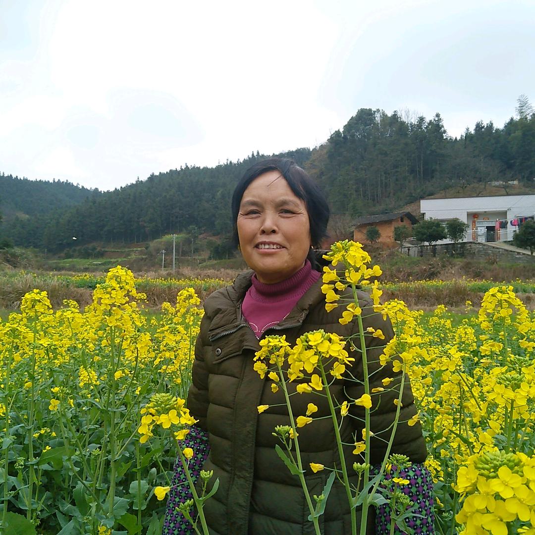陈义芳