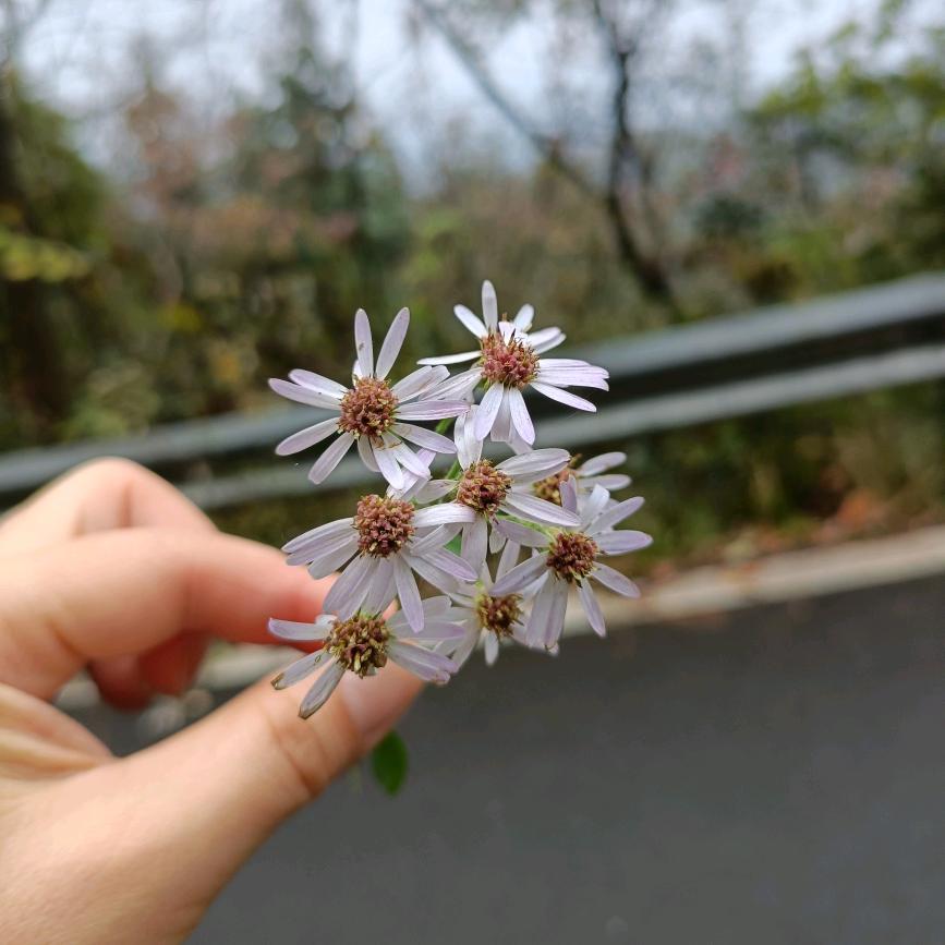 冰雨【橱窗好物】