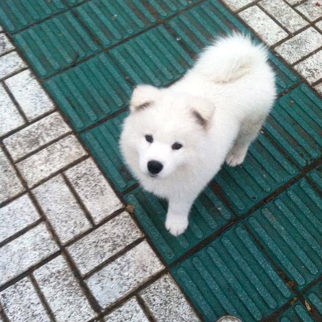 云帆