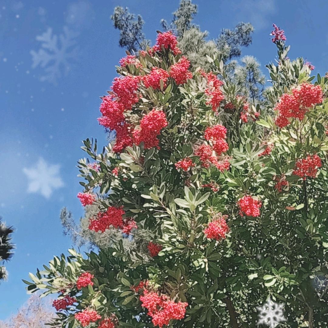 Alice.He美美生活