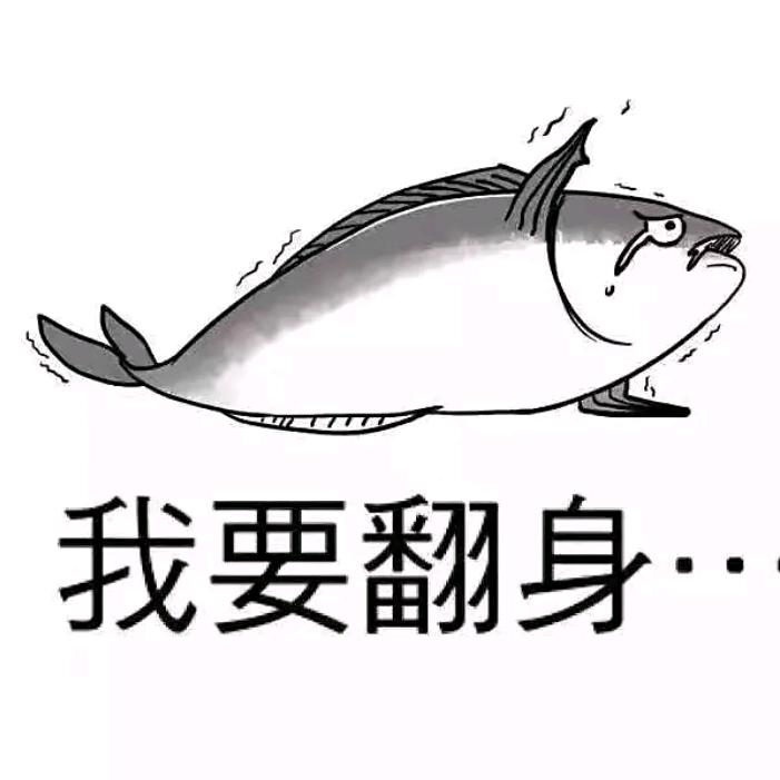 咸鱼想翻身