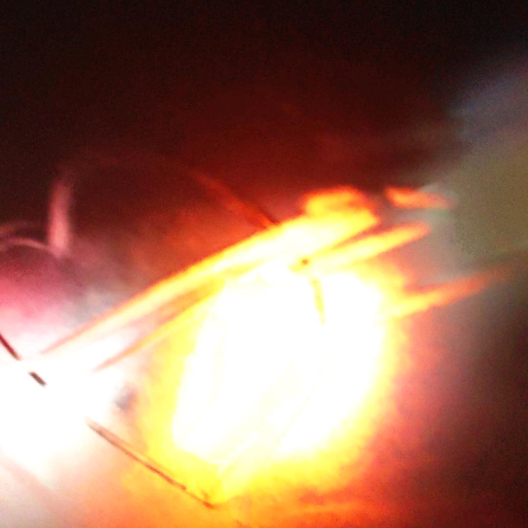 偏我来时春已过