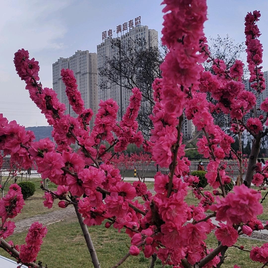 春暖花开