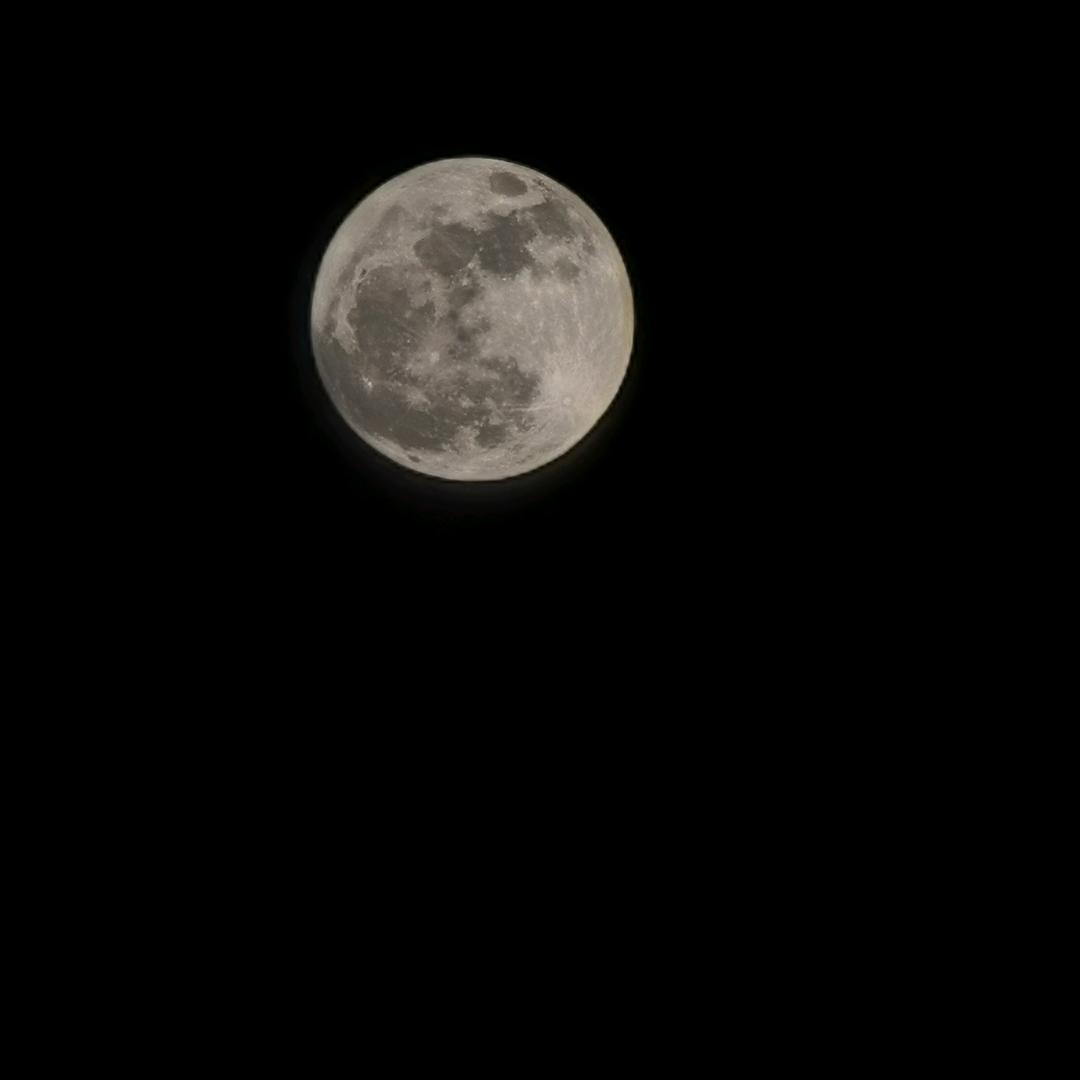 脚踏实地的斯姓后生