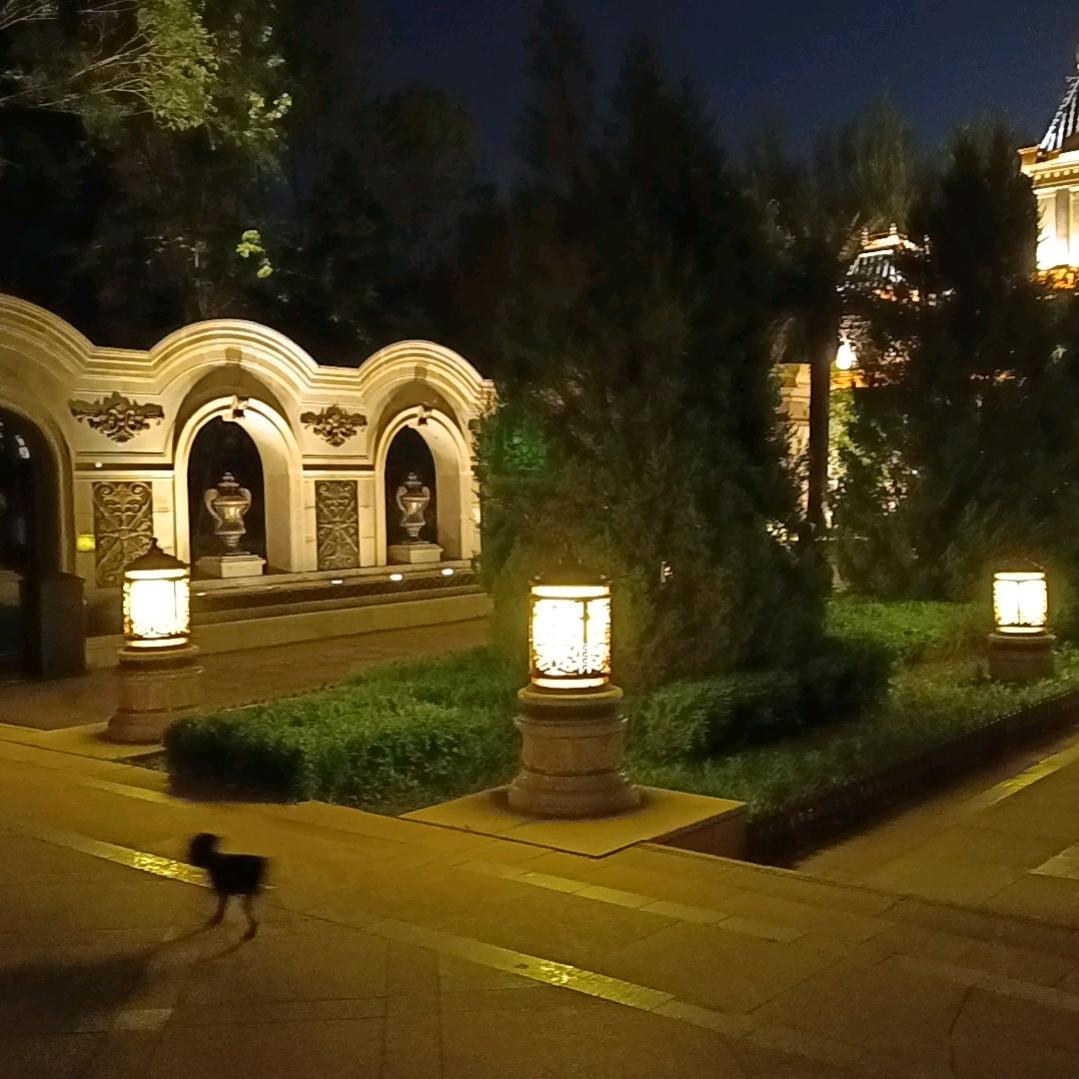 大头