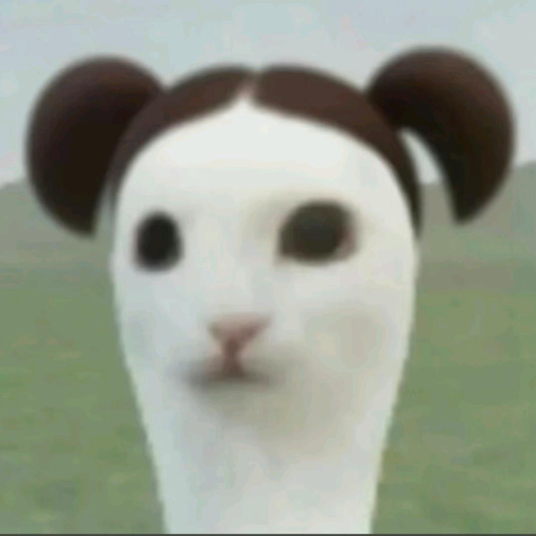一个农咪。