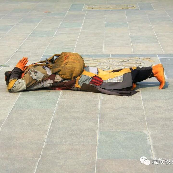 山坡上的小绵羊