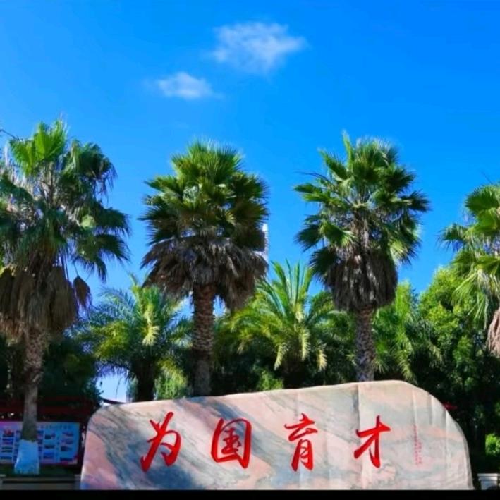 阿拉贡