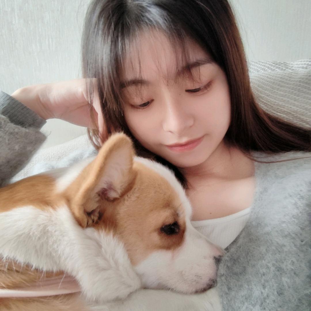 柯基奶茶麻麻
