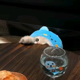 皮蛋soIo肉粥💃