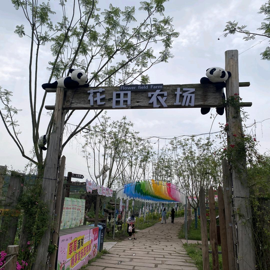 花田农场