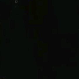 冷冰冰