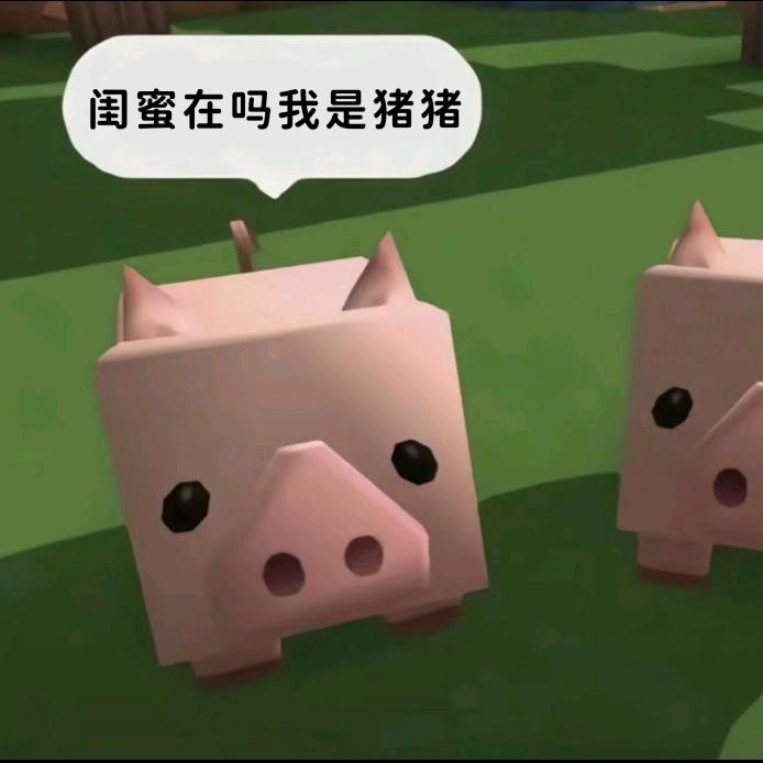 佳佳这头笨驴