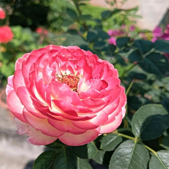 徐姐(纯属娱乐)