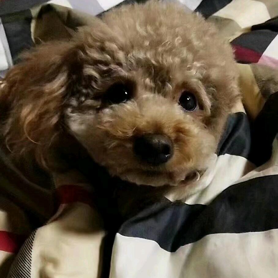 张小冉呀❤️