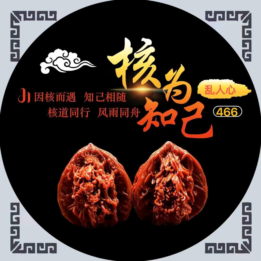 乱人心(核为知己)