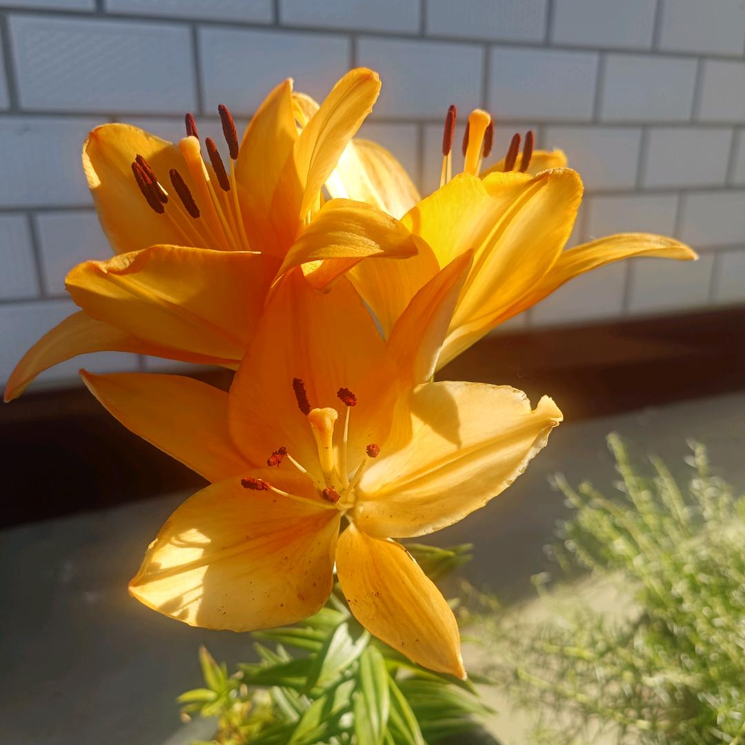 用户2320617612278一世缘