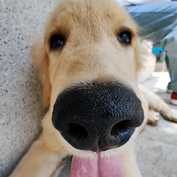 🐾Lin崽🐾