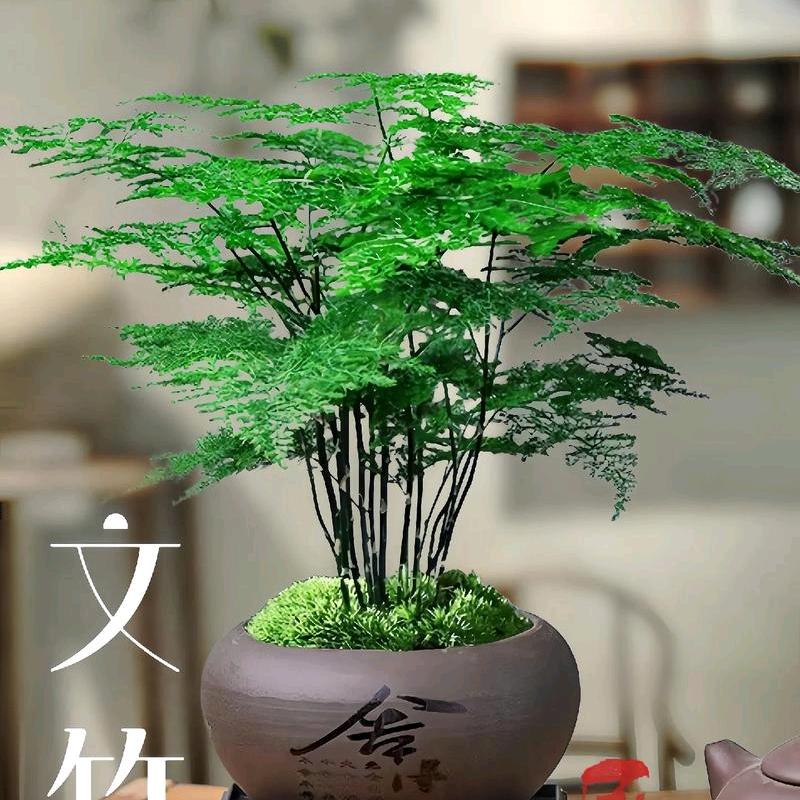 念旧