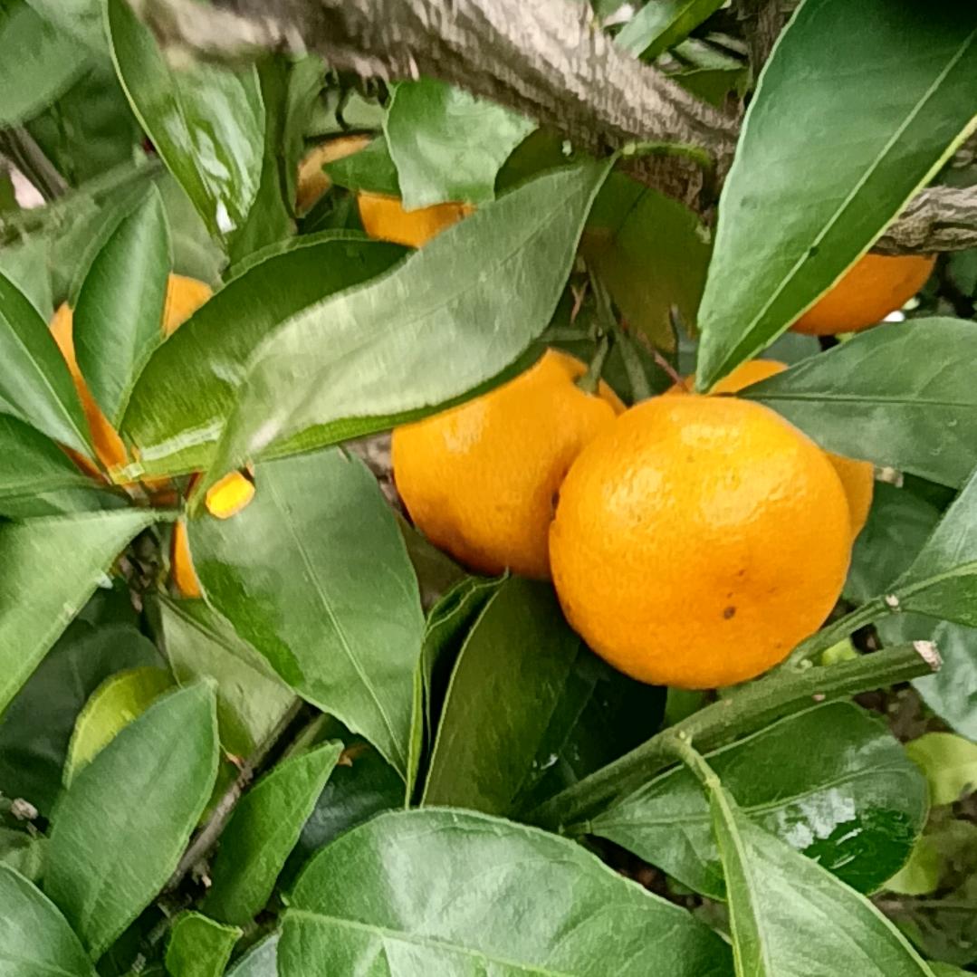 一米阳光