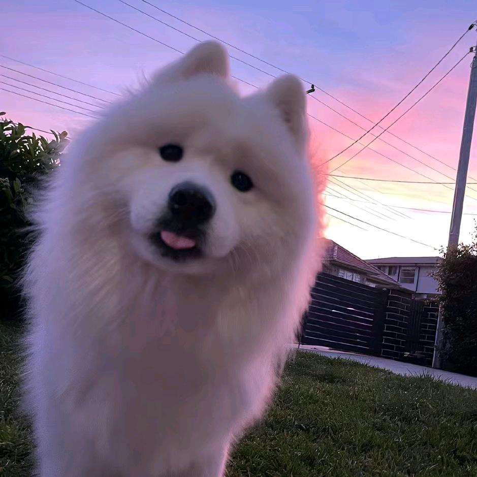 小明说他再想想🙈