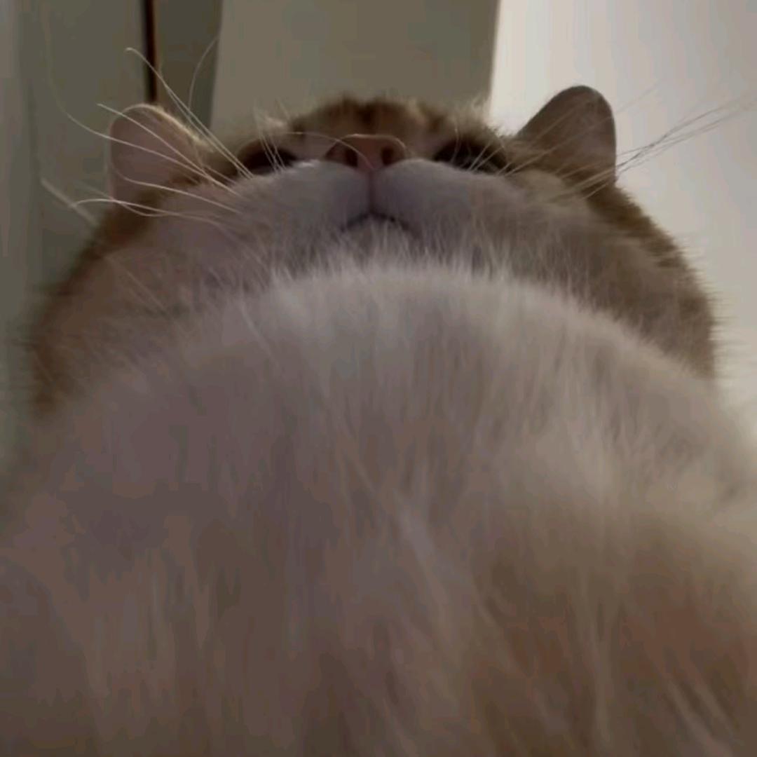 慢半拍