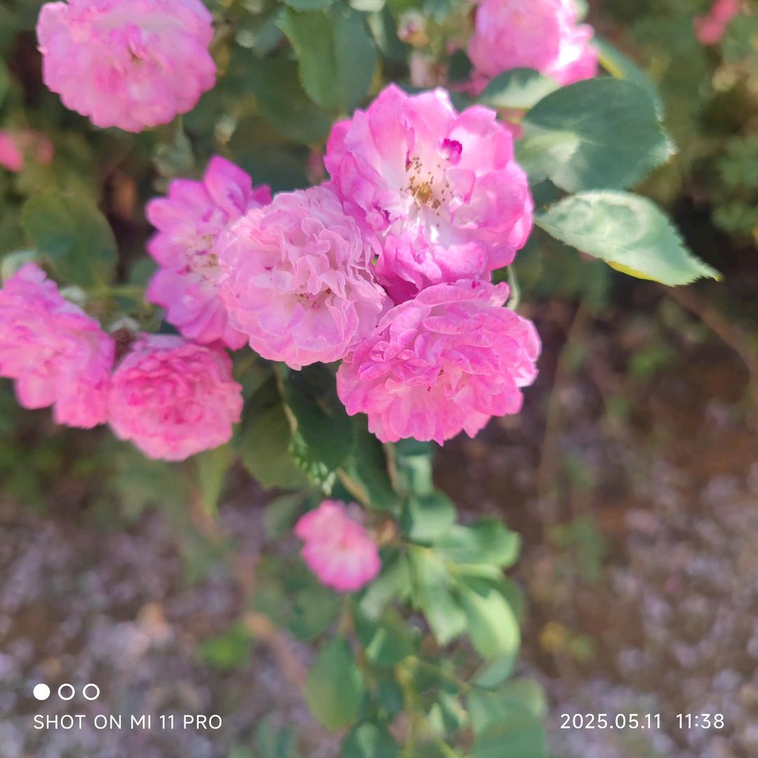 看淡随心❤❤❤