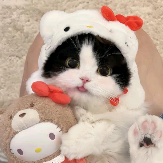 小發喵女鞋～来哦