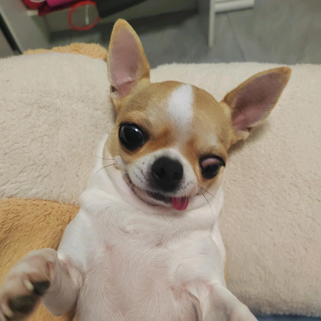 果冻宝贝