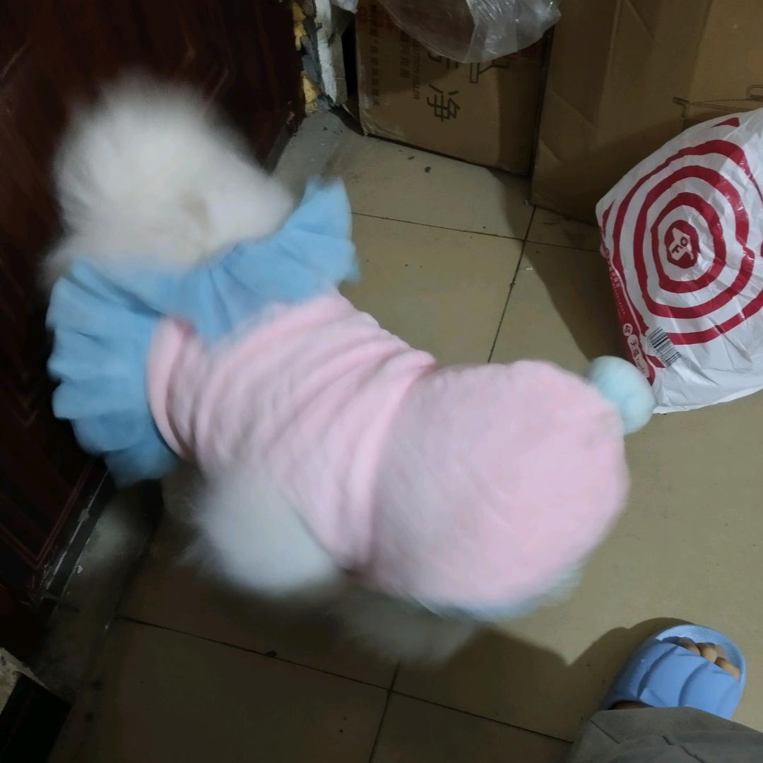 。。。。。