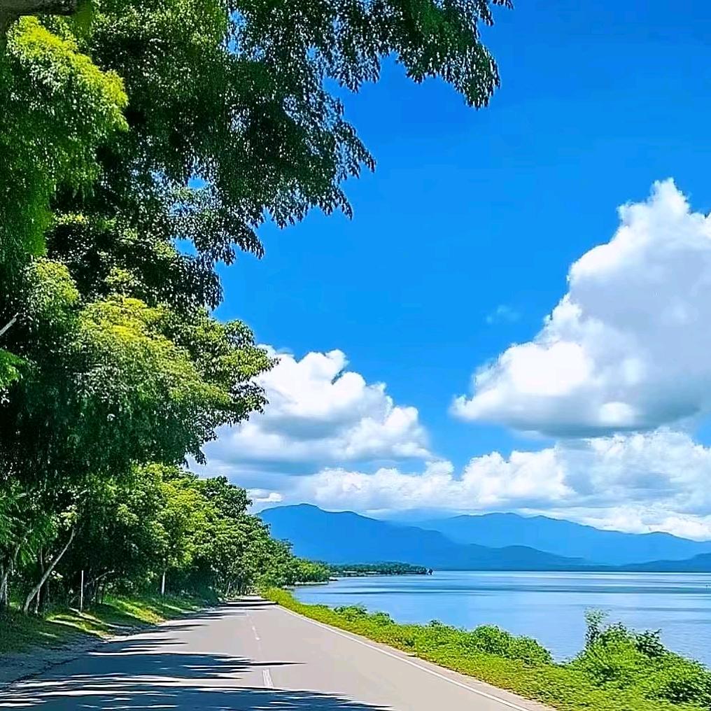远方🏡