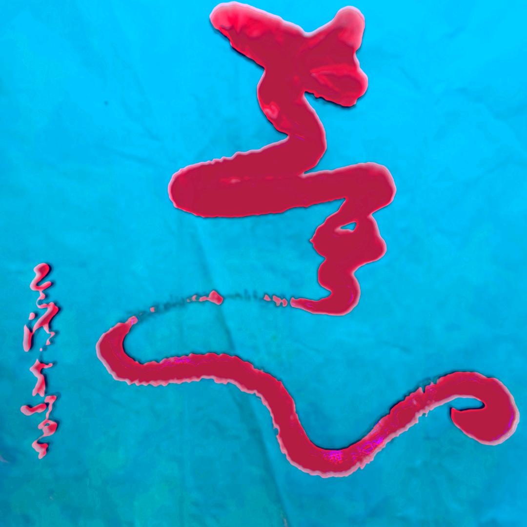 孙度