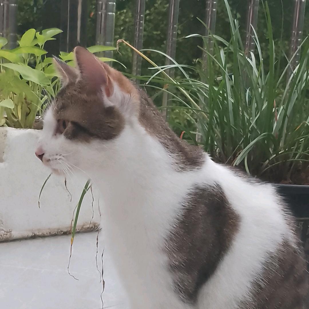꧔ꦿ᭄🌸快乐💫的张💞᭄