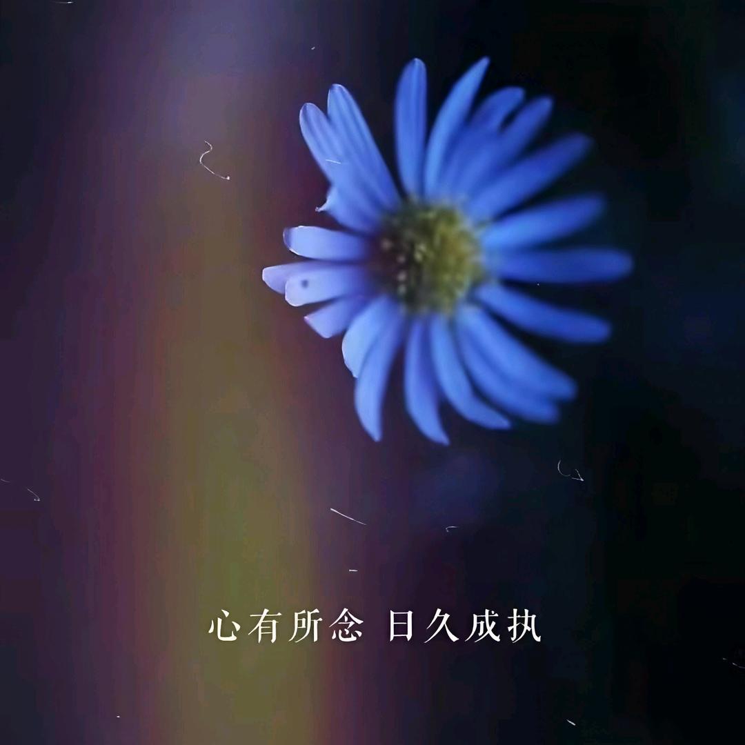 执念…