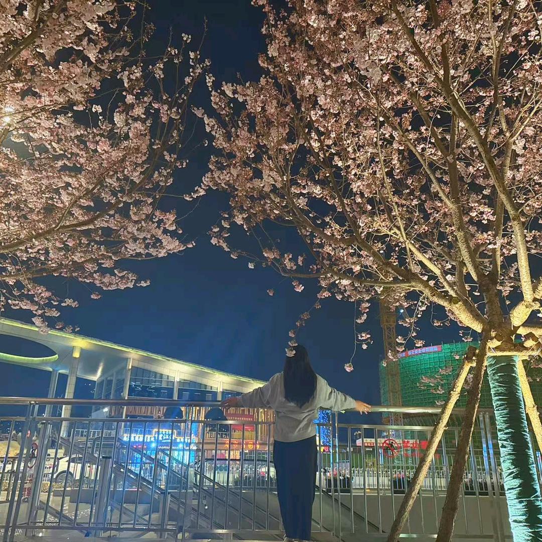 小敏vl