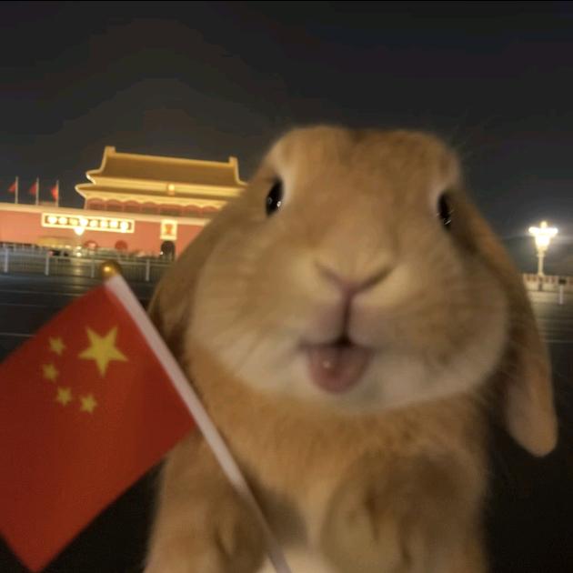 梦想兔兔发大财.