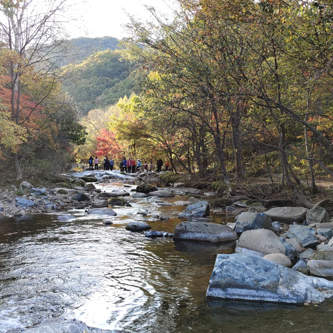 💫瞅你咋的💫