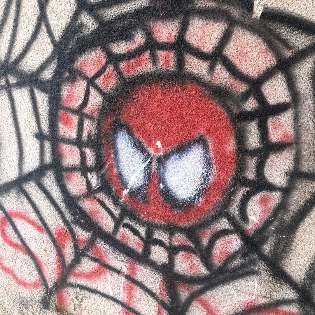 垃圾大王（游戏尜主播）