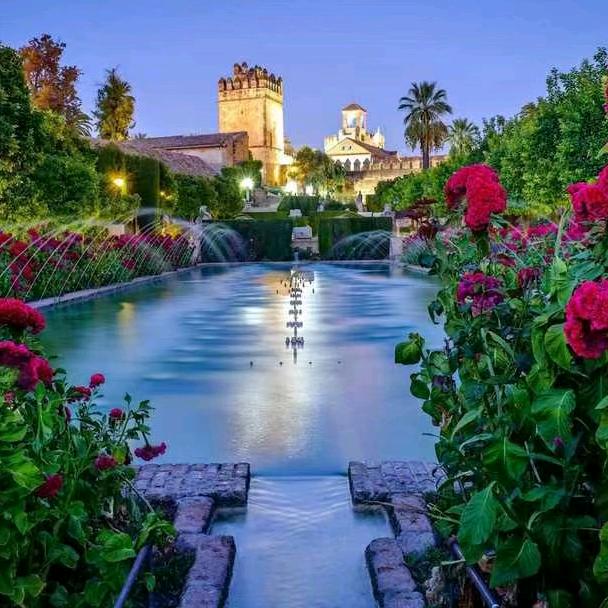 🌺瀚海观潮❤️🐒518