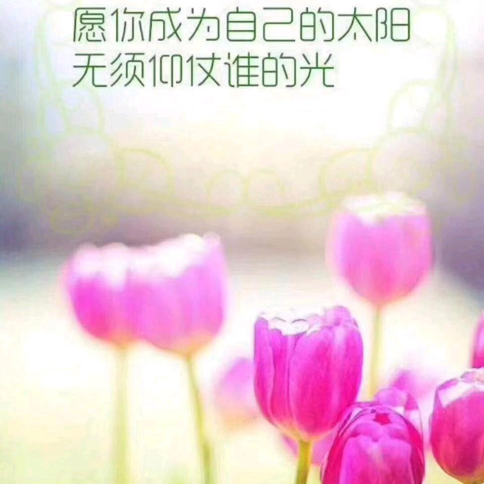 素心若水