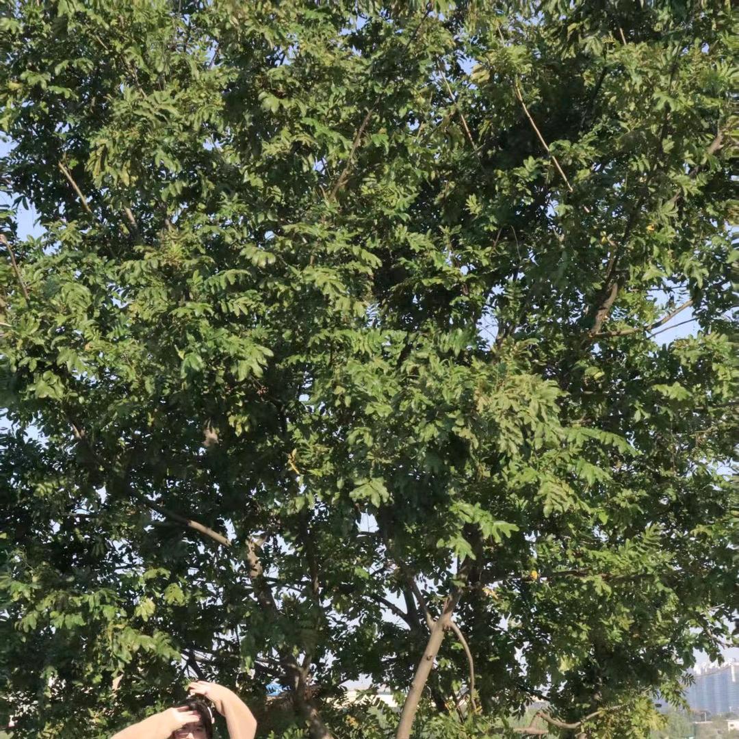 爱财爱己风生水起