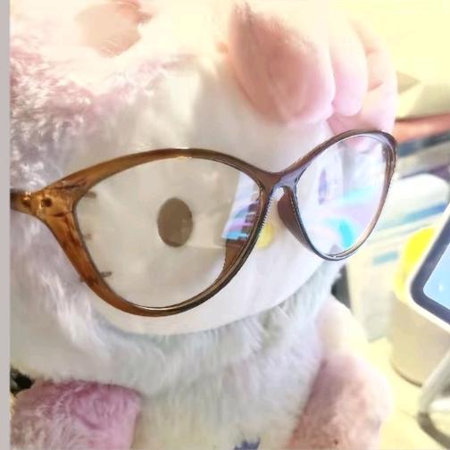 一条丑丑的猫₍˄·͈༝·͈˄*₎