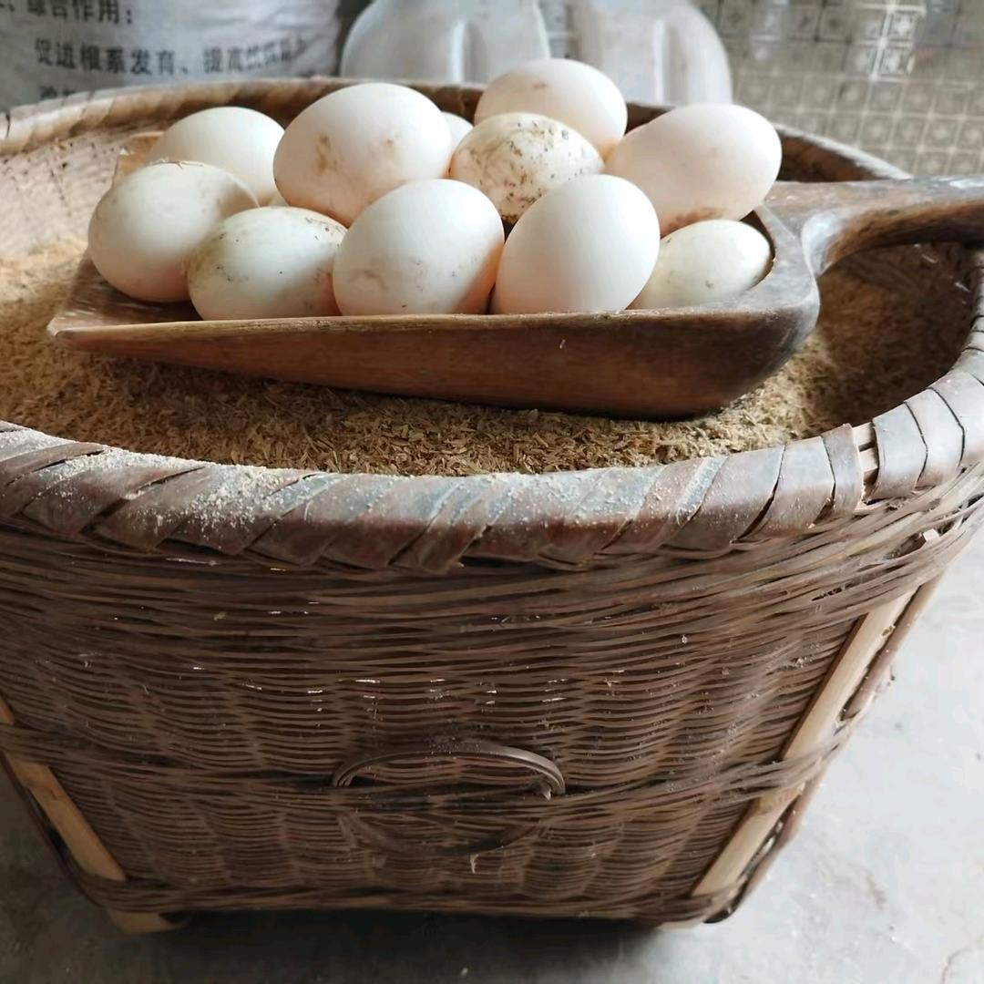 刘姐姐土货山货