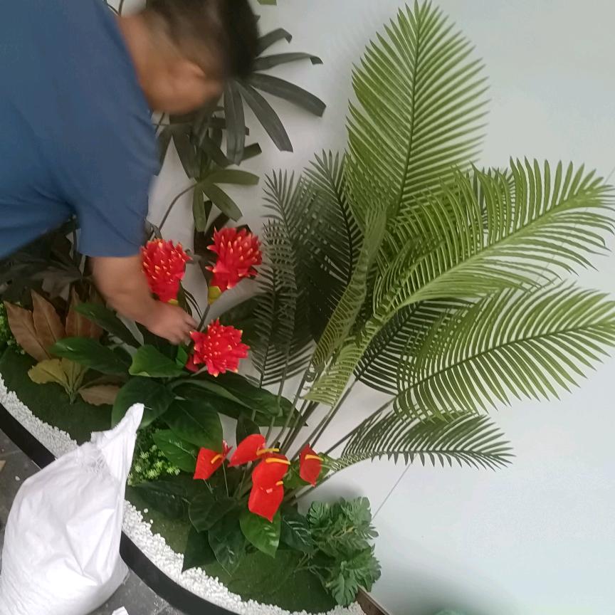 原始森林