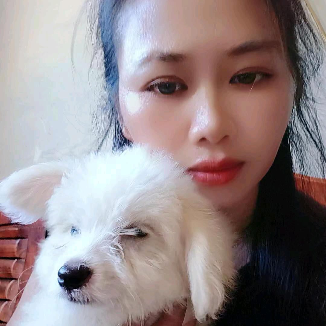 傻＠丫头＠