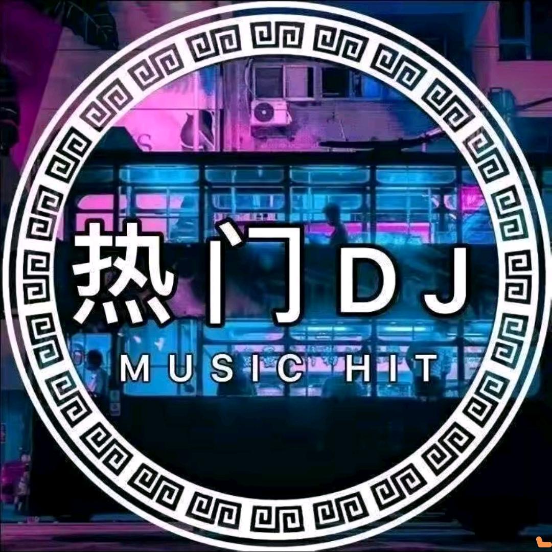 极致车载DJ（车载优盘）