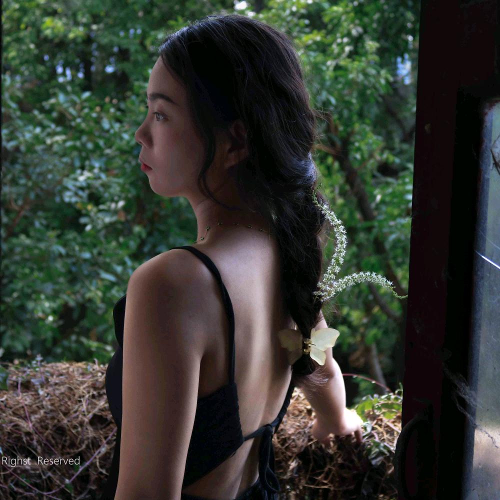木北鱼📷
