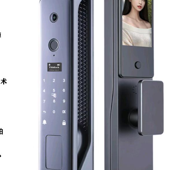 专业电子锁批发